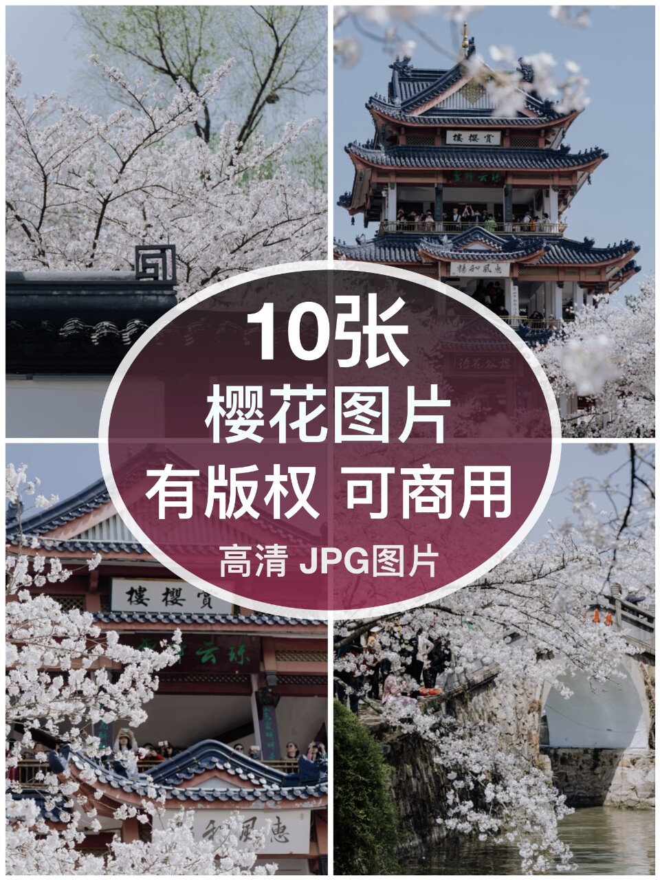 可商用有版权超清无锡鼋头渚樱花花卉图片背景自媒体配图印刷素材图片