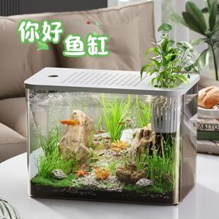 客厅小型金鱼缸选配带氧气泵自循环乌龟缸生态鱼缸 鱼缸家用小型