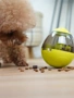 Chó đồ chơi rò rỉ thực phẩm bóng mèo chó câu đố tumbler đồ chơi bóng vật nuôi chó nhẹ nhõm thông minh một mình cung cấp phổ quát - Mèo / Chó Đồ chơi đồ chơi cho chó mèo