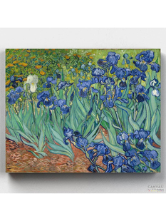 鸢尾花数字油画diy填色风景数字彩绘减压自愈手绘油彩画客厅装饰