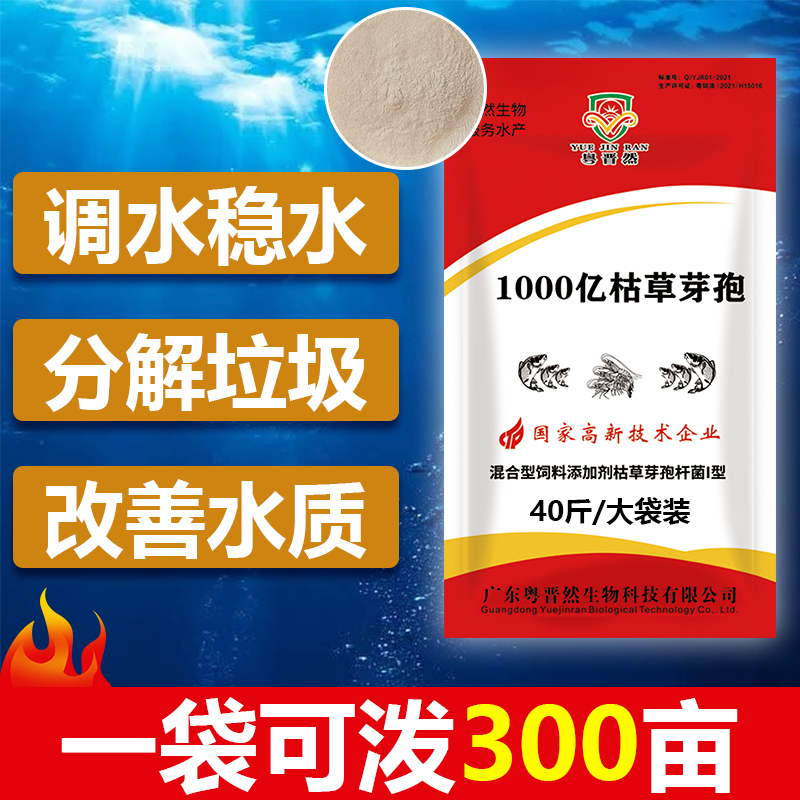 粤晋然1000亿枯草芽孢杆菌 水产养殖净水处理异常藻类分解有机质