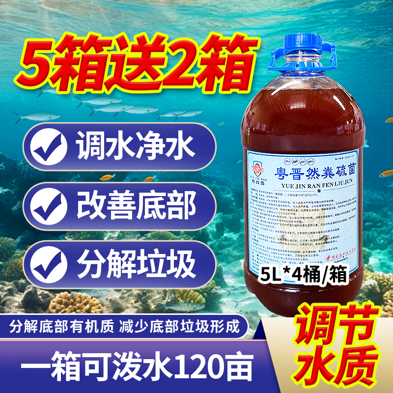 水产养殖粪硫菌分解黑泥有机质
