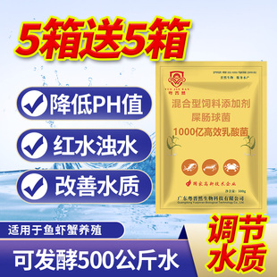 粤晋然1000亿乳酸菌种水产养殖专用发酵稳定降PH值红水裸甲藻蓝藻