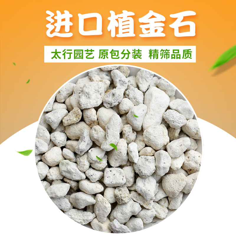 植金石颗粒 种兰花铺面专用植料盆面透气石日本进口蝴蝶兰石多肉