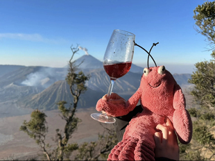 英国Jellycat拉里龙虾谢尔顿虾皮皮虾红龙虾毛绒公仔礼物玩具陪伴