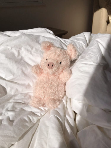 jellycatlittle小猪狗可爱玩偶