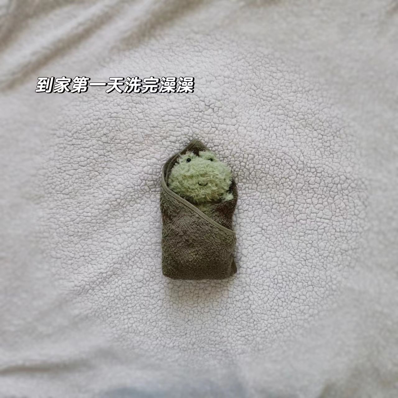 jellycatlittle狗狐狸猪兔玩偶