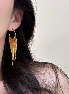欧美风金属女高级感小众耳环