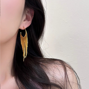 欧美小众设计夏季 流苏链条耳环显脸瘦耳坠耳饰女 度假风高级感长款