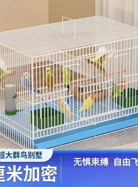 养芦丁鸡笼子饲养专用笼家用室内大号雏鸡雏鸭小鸭小鸡宠物笼加密