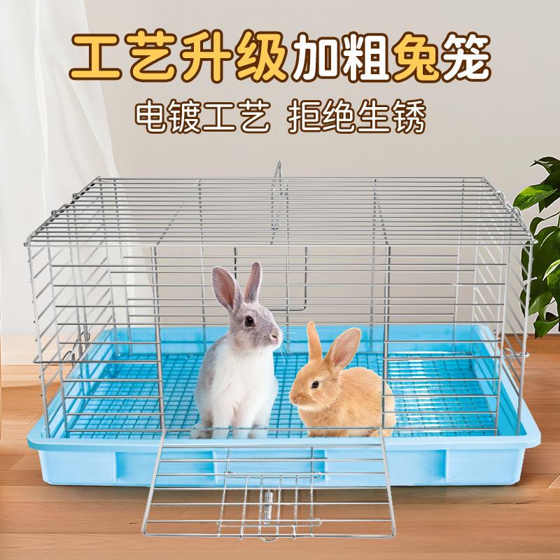 跑来跑去荷兰猪豚鼠兔子龙猫松鼠考拉兔子龙猫荷兰猪用铁丝笼子