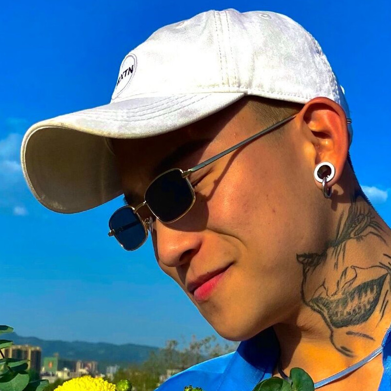 攀娘同款复古太阳眼镜男士潮流偏光太阳镜开车网红个性小框方形眼
