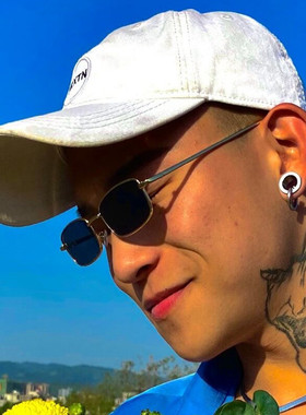 攀娘同款复古太阳眼镜男士潮流偏光太阳镜开车网红个性小框方形眼