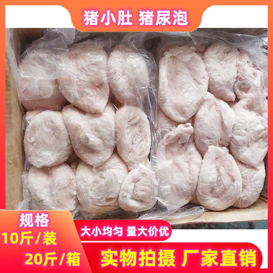 猪小肚新鲜冷冻猪膀胱净重20斤110个卤菜食材江浙沪皖包邮