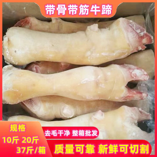 牛蹄带骨牛蹄子商用批发包邮