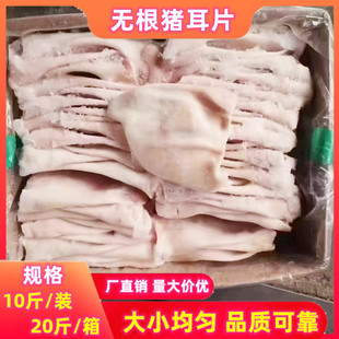 【店长推荐】耳片无根猪耳朵新鲜冷冻猪耳片无根猪耳耳尖干净无毛