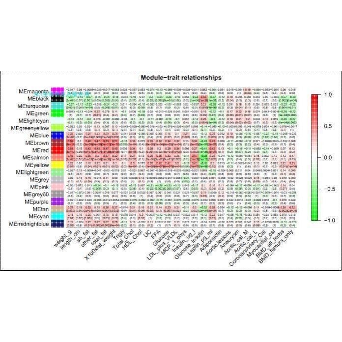 WGCNA共表达网络分析/样本关系聚类图/表型和模块相关性图