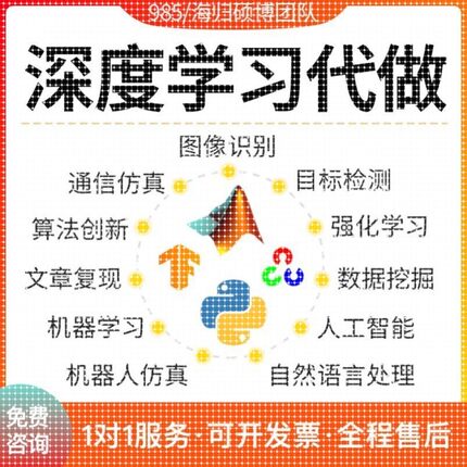 python深度学习nlp代做matlab彷真opencv代做图像处理神经网络