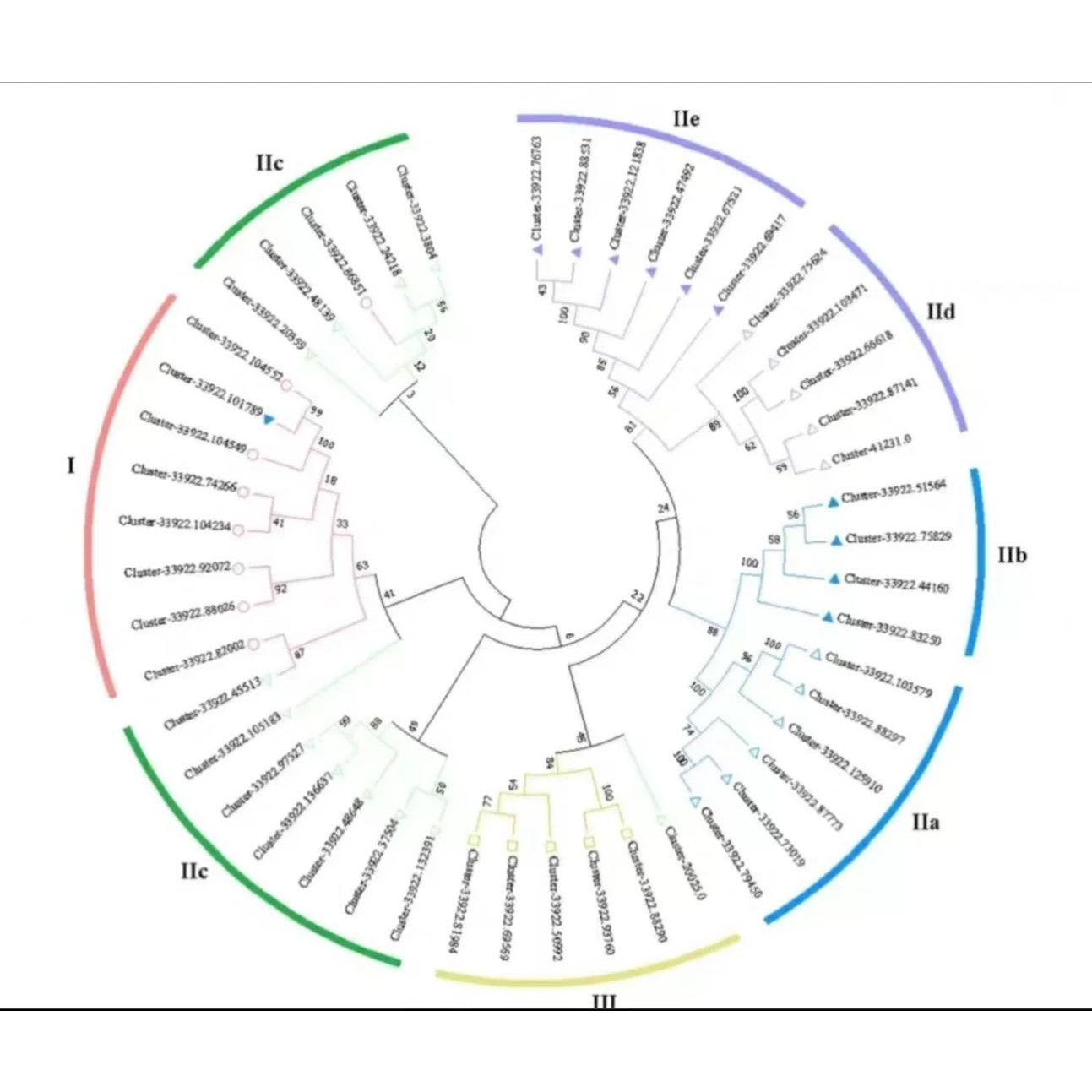 r语言答疑 python答疑