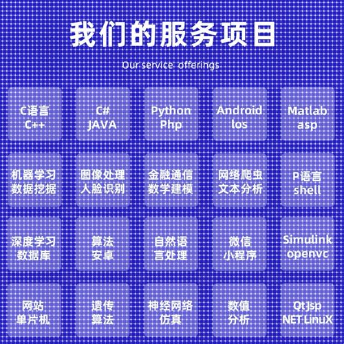 python代编程matlab深度学习C++C语言php代码定制程序代写javaC#