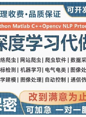 Python代做三维重建双目视觉点云图像识别目标深度学习检测编程序