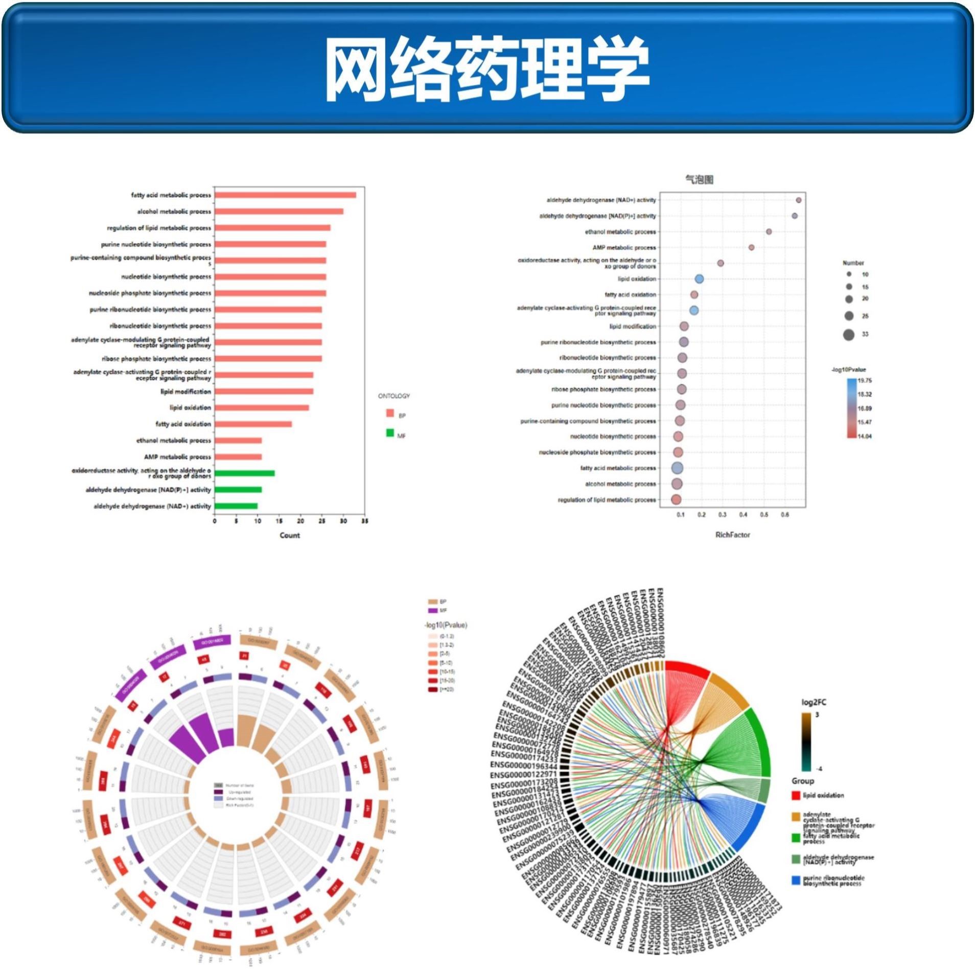 网路药理学/中药覆方/GO KEGG富集/PPI网路/Cytoscape/分子对接