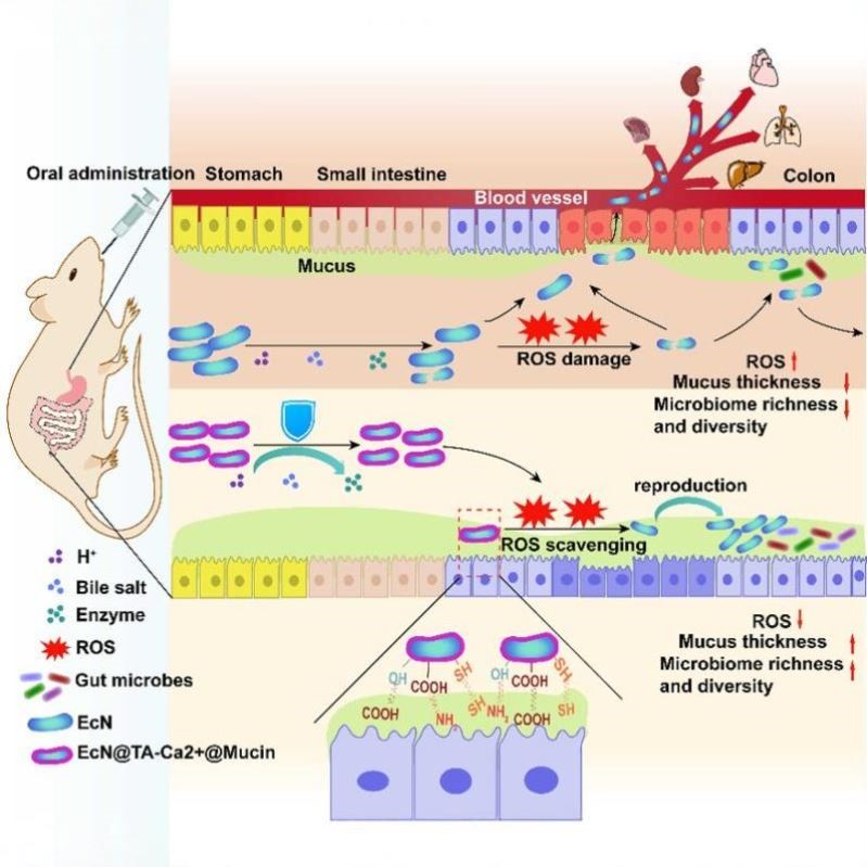 生信分析服务单细胞代谢组转录组医学科研TCGA GEO数据挖掘R语言