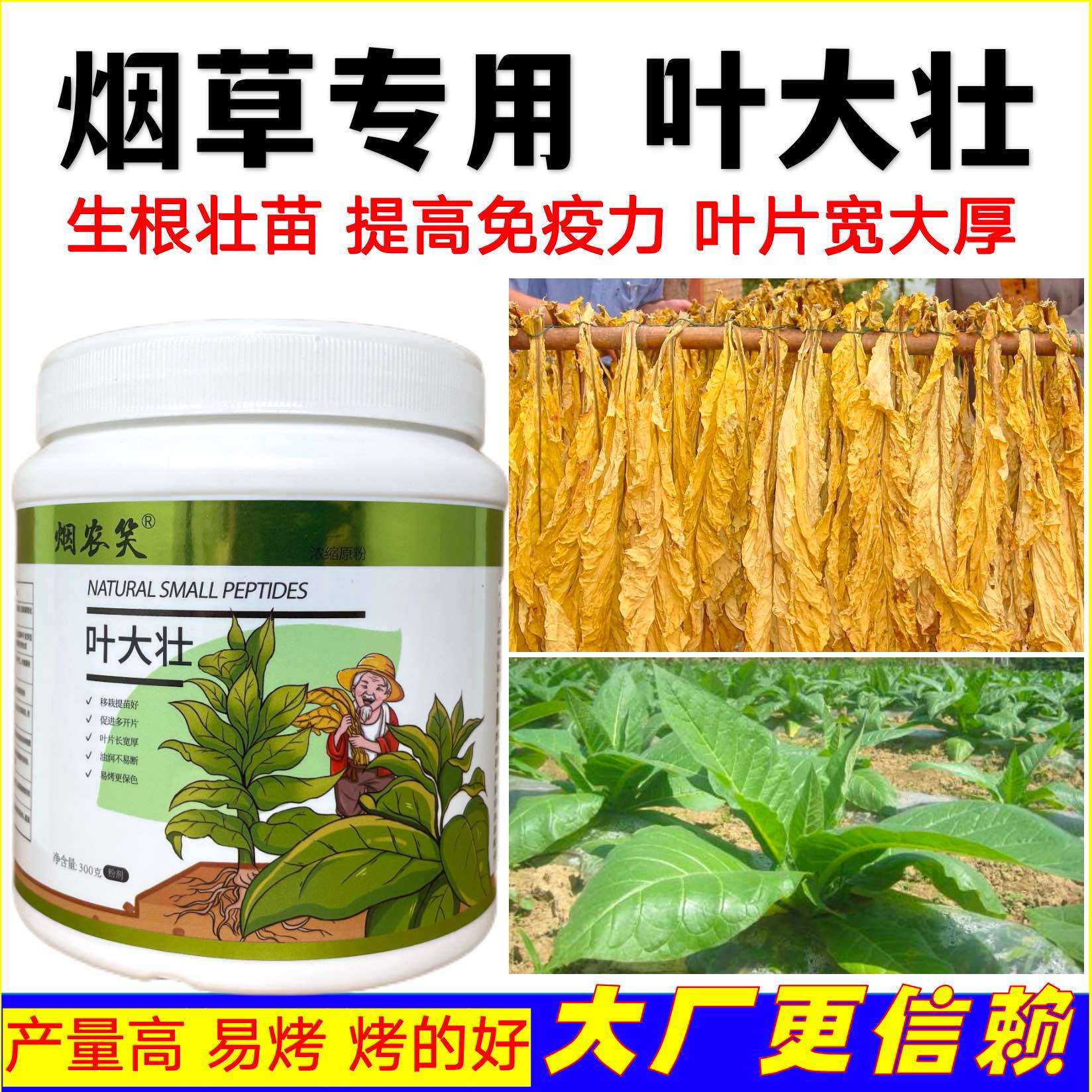 叶连根烤烟移栽抗重茬预防死苗烂棵抗病抗害叶连根生根壮苗壮烟宝