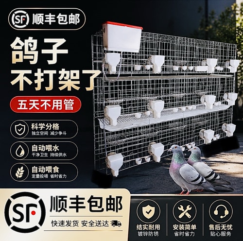 厂家直供加粗鸽子笼配对繁殖通用