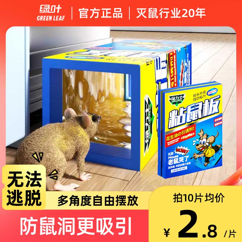 绿叶粘鼠板可折叠强力胶水