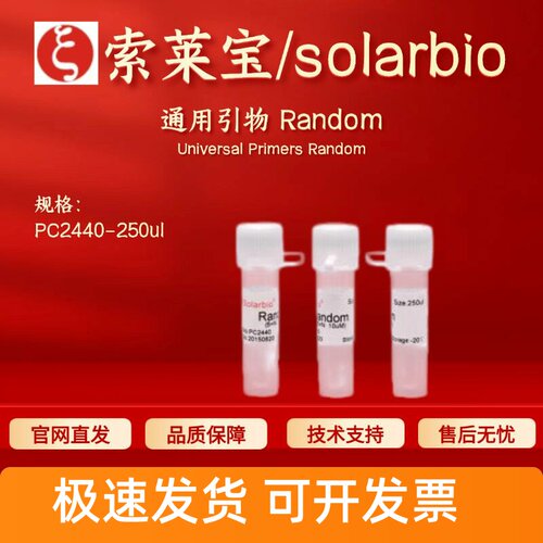 索莱宝solarbio 通用引物 Random PC2440 250ul(10uM) 科研实验