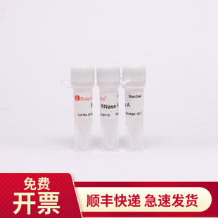 核糖核酸酶A RNase 索莱宝Solarbio 100mg R8020 25mg 现货