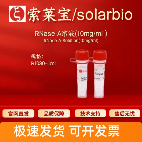 索莱宝Solarbio RNase A溶液(10mg/ml )R1030 9001-99-4 生化试剂