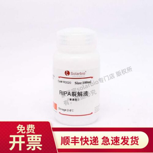 索莱宝Solarbio普通RIPA裂解液