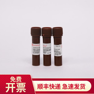 现货 黄嘌呤氧化酶0.5u/mg 9002-17-9 5u X8020 索莱宝Solarbio