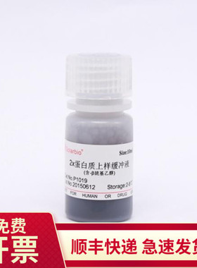 2×蛋白上样缓冲液（含巯基还原剂）10ml P1019 索莱宝Solarbio