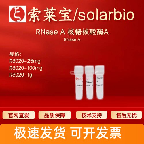 索莱宝solarbio RNase A 核糖核酸酶A R8020 9001-99-4 科研试剂