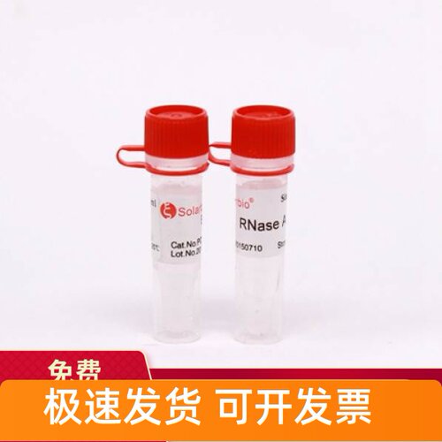 索莱宝RNaseA溶液10mg/ml