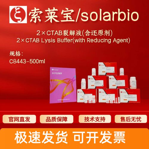 索莱宝solarbio 2×CTAB裂解液(含还原剂)C8443 500ml 科研试剂