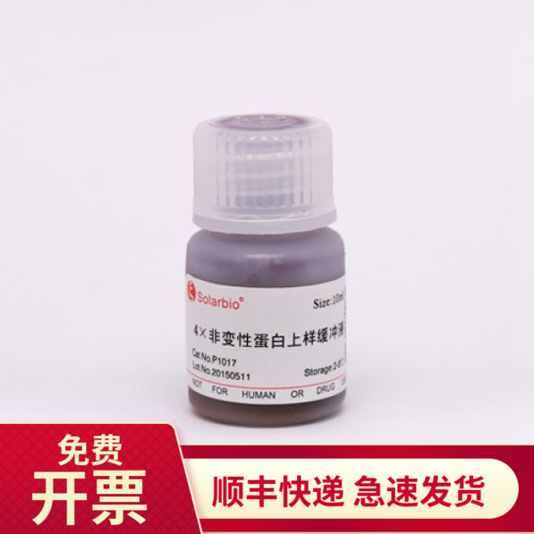 索莱宝4×非变性蛋白上样缓冲液