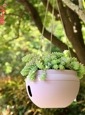 包邮诚信钵形吊盆蓄水自吸水懒人盆吊兰绿萝矮牵牛垂吊树脂盆