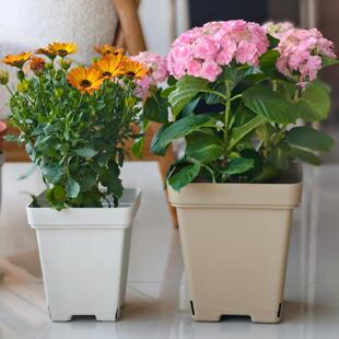 加厚青山盆控根盆塑料正方形花盆铁线加仑盆透气不烂根蝴蝶兰竹芋