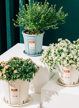 北欧加仑盆花盆塑料大号创意花盆热植龟背竹盆大口径加厚控根盆