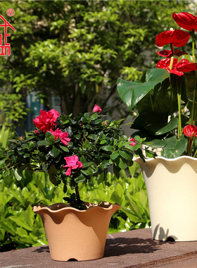 包邮加厚陶土风格花盆波浪边花盆菊花杜鹃月季树脂花盆（高款）