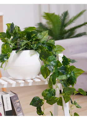 球形花盆懒人自吸水花盆桌面绿植盆栽