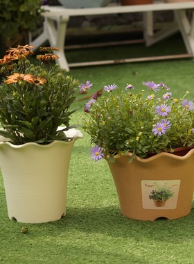 包邮加厚陶土风格矮胖花盆波浪边风格花盆矮牵牛草花盆绿萝盆