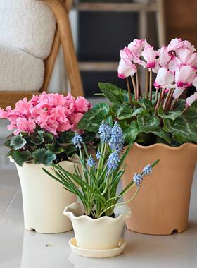 包邮加厚陶土风格矮胖花盆波浪边风格花盆矮牵牛草花盆绿萝盆