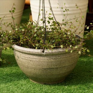 外贸吊盆清仓处理集合垂吊花盆吊兰盆吊篮