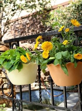 38包邮送挂钩诚信加厚陶土风格波浪边壁挂盆储水盆绿萝草花矮牵牛