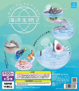 现货 日本 Qualia 球中的海洋生物2 大白鲨 海豹小丑鱼 水獭 扭蛋